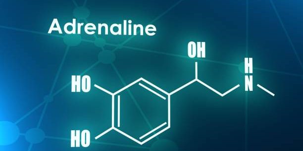 adrenaline foto voor blog leefstijl