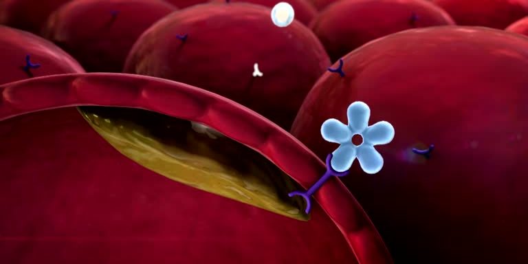 insuline foto voor blog leefstijl